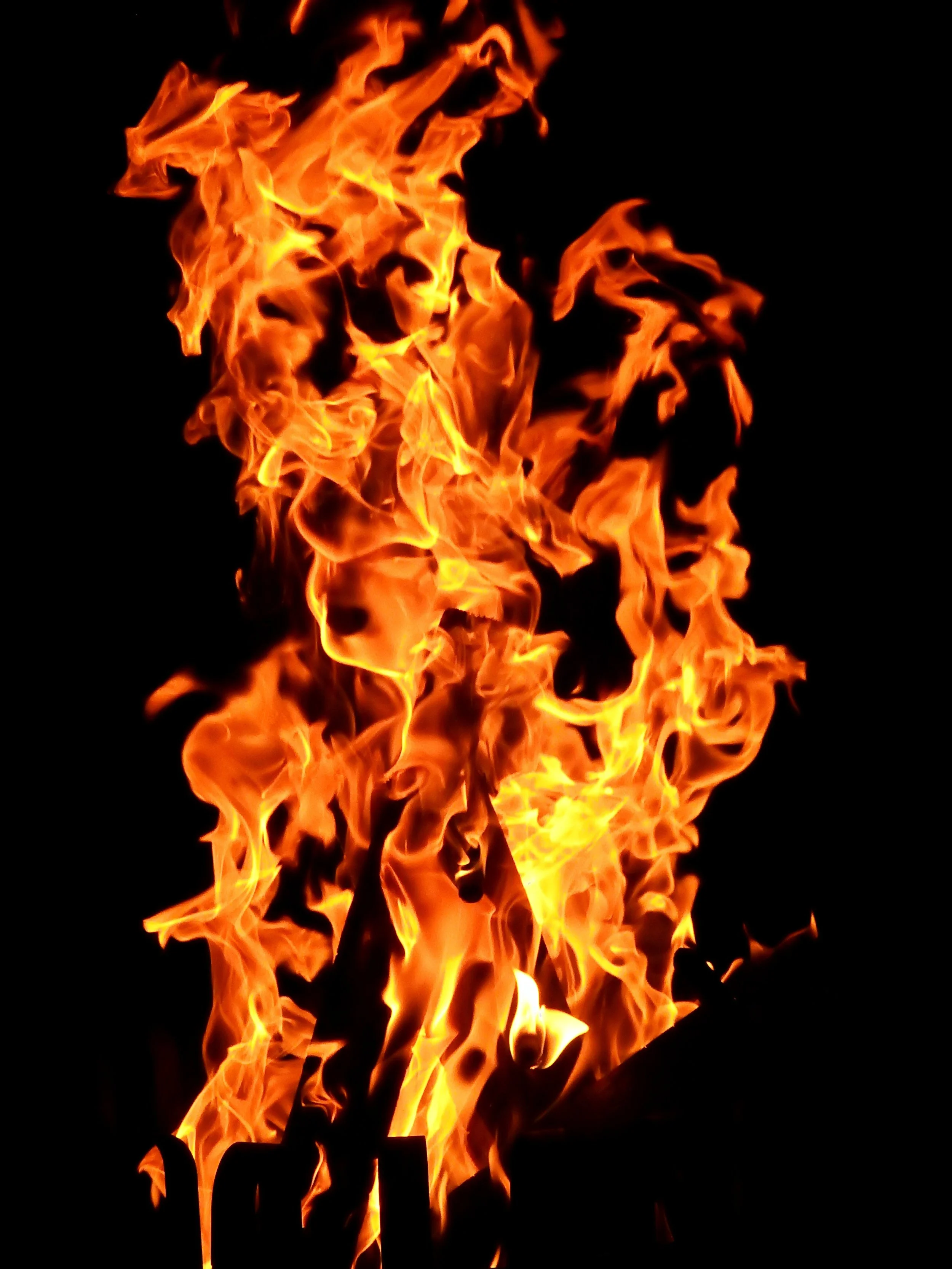 The Thermic Effect of Every Macronutrient